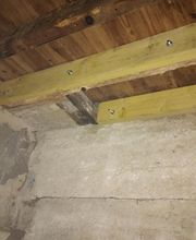 Stop nuisibles24 image 3