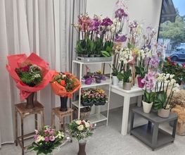 Blumen Baccara Ingolstadt Bild 13