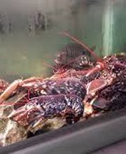 MARISCO PEINADO S.L. imagen 3