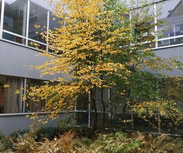 École Saint-Ilan image 18