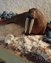 Michael Kugler Bild 11