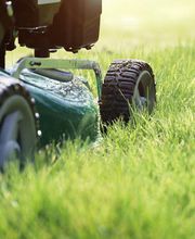 Bont Gartenbau und Gartenpflege AG Bild 8