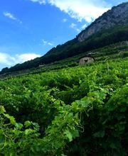 Propriété Veillon Bild 4