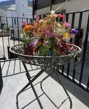 Blumen Candinas / Fluras Candinas Bild 8