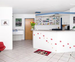 Kleintierklinik Glattfeld AG Bild 2