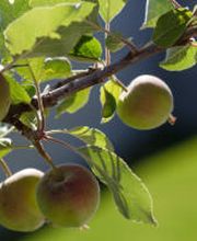 Hengartner + Jans AG Bild 4