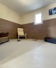 Felidog Sarl image 16