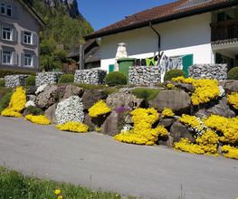 Winteler GmbH Facility S plus Bild 8