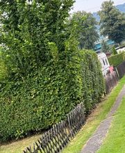 Gartenservice Hahn Bild 10