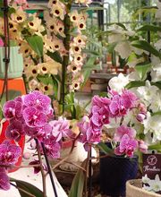 Berjamin Ets image 4