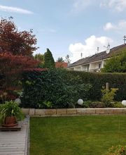 Rieblinger Gartengestaltung Bild 1