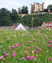 michellerundschalk GmbH Bild 5