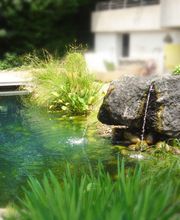 Thomas Frei GmbH Bild 6