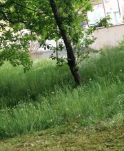 Bossut Multi-Services image 12