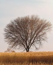 Unidad de dolor pélvico y mujer imagen 2
