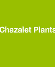 Chazalet Plants image 16