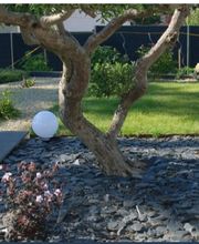 Sagory Steven image 5