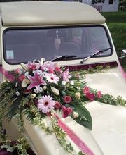 L´Orchidia image 19