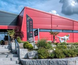 Welt der Kristalle Museum & Shop Bild 12