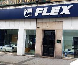 Tienda Flex by Noctalia imagen 1