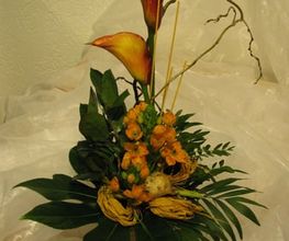 Blumen Siebrecht Bild 2