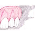 Hengartner Jürg, Zahnprothetik