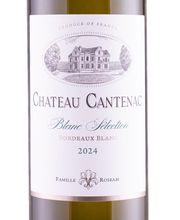 Château Cantenac image 1