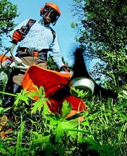 ESPACE GARDEN image 2