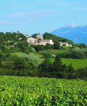 Cave La Comtadine image 20