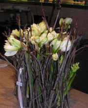 la-magnolia-floristes-flores-blancas-02.jpg
