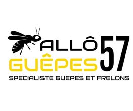 Allô Guêpes 57 image 6