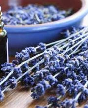 Natura en Zen Limousin image 2