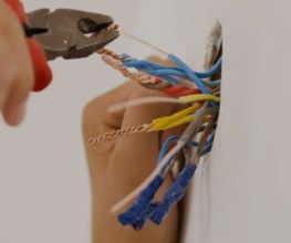 W & B image 3