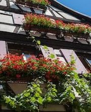 Zum Schnogaloch image 5