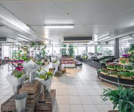 Le Carrefour De La Fleur image 6
