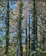 Satory Dylan image 6