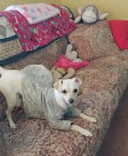 Grant Animal Clinic image 2