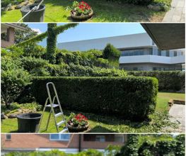Gallery Cliente