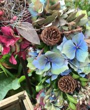 Das kleine Dachstübchen Bild 13