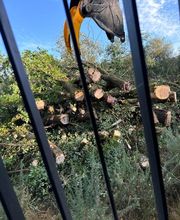 ADH Services TP image 3