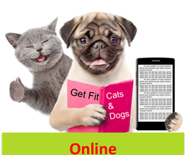 Mein Pfotenglück - Gesundes ANIfit Hundefutter & Katzenfutter Bild 5