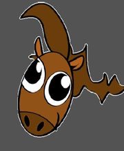 Club équestre St Julien image 2