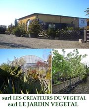 Les Créateurs Du Végétal image 2