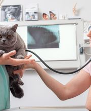 Tierarzt Dr. Jasmin Riemel Bonn