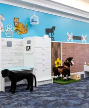 Lighthouse Autism Center New Castle image 17