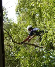 Delé Thomas image 3