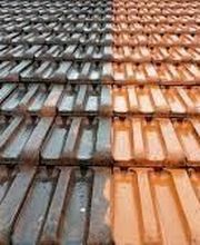 Wiss Christophe image 7