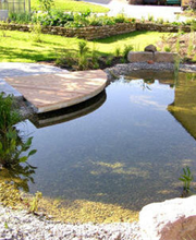 Gartenwelt Buchstaller Bild 2