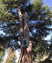 Cabinet Souesme image 7