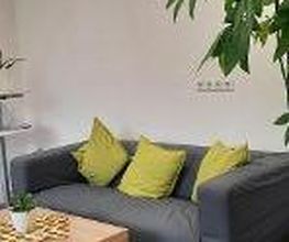 graues Sofa mit grünen Kissen, daneben eine große Zimmerpflanze. Vor dem Sofa steht ein Beistelltisch mit Deko.